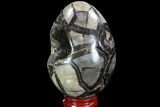 Septarian Dragon Egg Geode - Black Crystals #89578-2